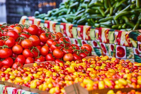 Fresh red tomatoes on the vine with assorted colors of cherry tomatoes close upの写真素材