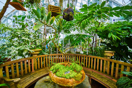 Tall skinny plant in clay plot surrounded by wooden bench with hanging plants in greenhouseの写真素材
