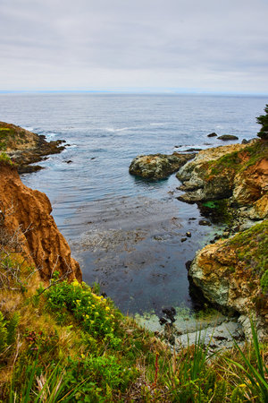 Green cliff with yellow wildflowers overlooking mall cove of water with green algae bloomの写真素材