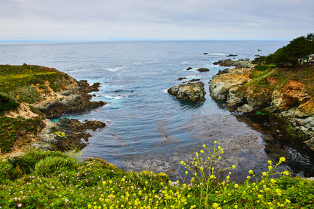 Yellow and purple wildflowers on cliff overlooking small cove with crashing ocean wavesの写真素材