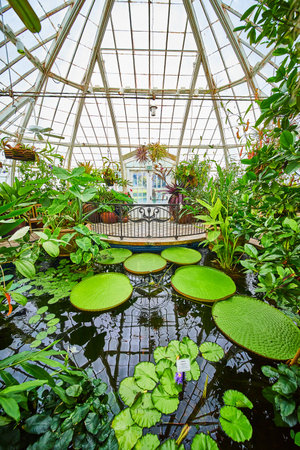 Wide view of pond with waterlilies and a railing with white exit doors on the outer wallの写真素材