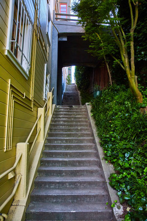 Stairs leading up dark passage between a building and nature