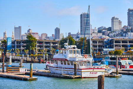 Tour boat Naiad docked at Pier 39 with San Francisco skyscraper skyline