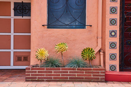 Detail home exterior pink with brick planter and three succulent plantsの写真素材