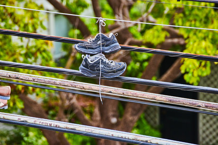 Black and blue tennis shoes with laces tied together hanging from a telephone wire and tree in back