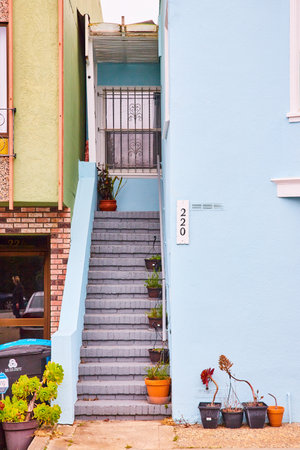 Gray staircase lined with potted plants leading to grated window of flat blue houseの写真素材
