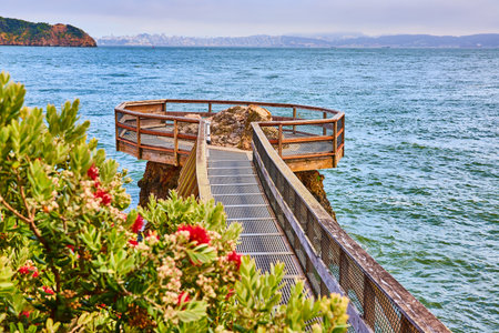 Elephant Rock at end of pier with red flowering bush and distant coastline across bayの写真素材