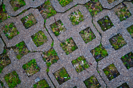 Eco-Friendly Permeable Paving and Green Grass in Urban Designの写真素材