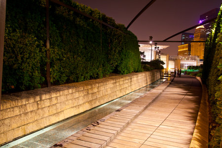 Illuminated City Park Walkway in Chicago Nightの写真素材