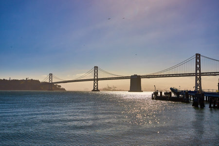 Gorgeous Oakland Bay Bridge architecture with shimmering water and birds under peaceful blue sky