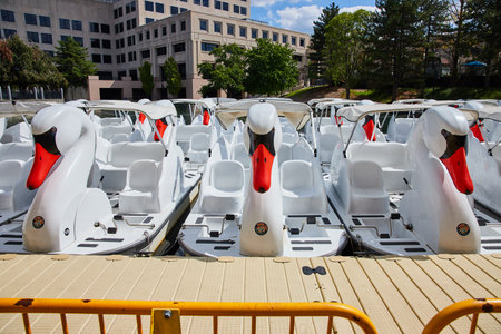 Swan Pedal Boats Docked in Urban Park with City Backdropの写真素材
