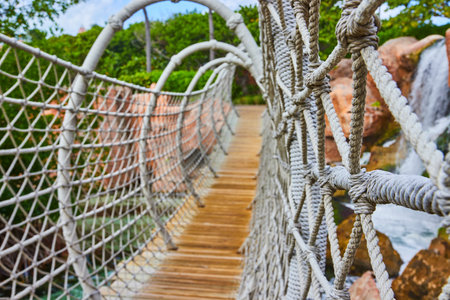 Tropical Rope Bridge Adventure in Lush Forest - Eye-Level Perspectiveの写真素材