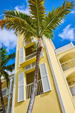 Tropical Palm Tree and Yellow Resort Building, Sunny Bahamasの写真素材