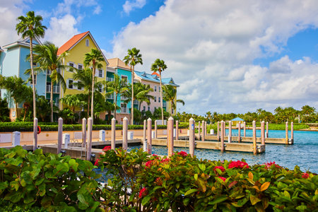 Tropical Waterfront Dock with Pastel Buildings and Palms, Bahamasの写真素材