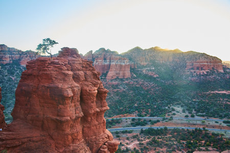 Golden Hour at Bell Rock with Solitary Tree, Sedona Desert Viewの写真素材