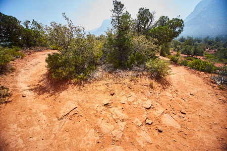 Red Desert Trail with Green Shrubs in Sedona, Eye-Level Perspective