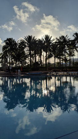 Tranquil Resort Pool with Palm Tree Reflections at Sunset