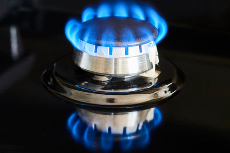 Blue Gas Flame on Kitchen Burner - Macro Eye Level View