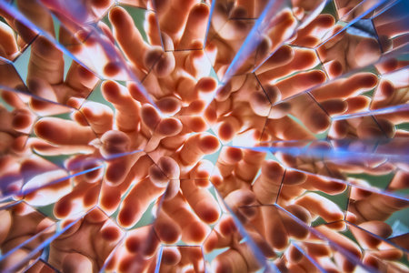 Abstract Fingers Kaleidoscope Patterns with Light Refraction