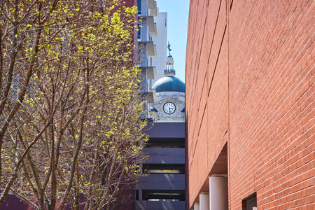 Spring in Fort Wayne: Nature meets architecture with the historic courthouse framed by modern buildings.の写真素材