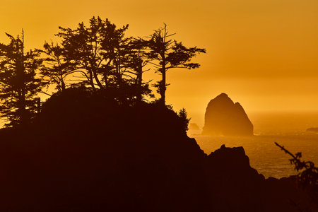 Golden Hour Silhouette Over Arch Rock, Oregon Coastlineの写真素材
