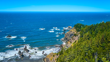 Aerial Flyover of Rugged Oregon Coastline and Lush Forest