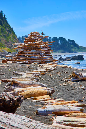 Driftwood Sculpture on Rugged Coastal Beach with Forest Backgroundの写真素材