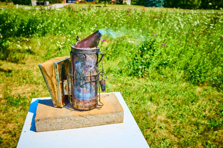 Rustic Beekeeping Smoker in Lush Field Eye-Level Viewの写真素材