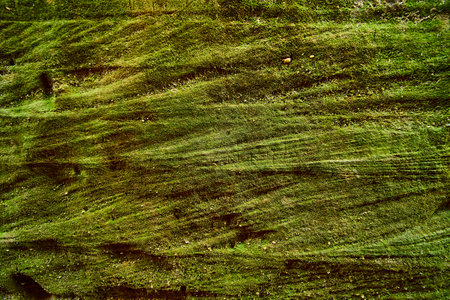 Aerial of Lush Green Hocking Hills Terrain in Motion