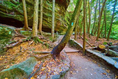Autumn Forest Pathway with Stone Steps and Trees Ohio Eye Level Viewの写真素材