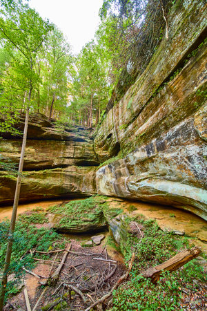 Cantwell Cliffs Rock Formations Amid Lush Forest Ground Viewの写真素材