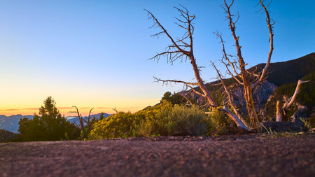 Sunset Over Rugged Terrain with Leafless Tree Silhouette Ground Viewの写真素材