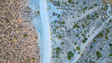Aerial of Nevada Desert Road and Vegetation Contrastの写真素材