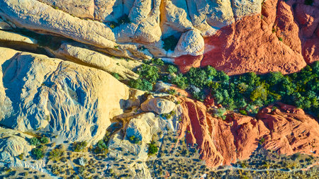 Aerial Top Down of Vibrant Red Rock Canyon Desert Landscapeの写真素材