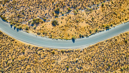 Aerial Desert Road Curve in Arid Nevada Landscape