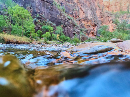 Zion Canyon River Flowing at Water Levelの写真素材