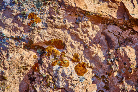 Rugged Desert Rock Texture with Lichen Detail in Golden Hour Light