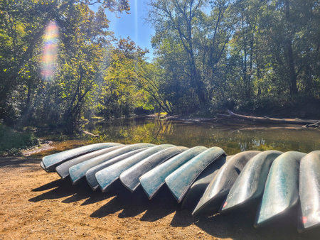 Canoes Resting on Riverbank Amid Lush Forest Sunlight Eye-Level Viewの写真素材