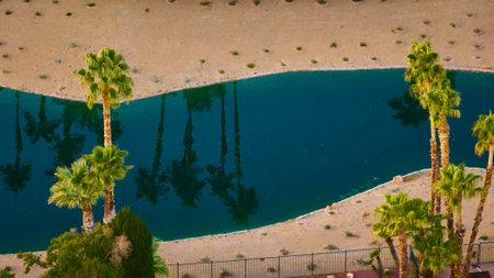 Aerial Oasis Palm Trees and Blue Water in Desert Landscape