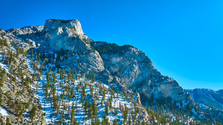 Aerial Snowy Mt Charleston Nevada Scenic Peaks and Forestsの写真素材