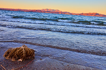 Golden Hour Waves at Lake Mead with Driftwood Perspectiveの写真素材