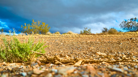 Aerial of Stormy Desert Landscape with Resilient Shrubの写真素材