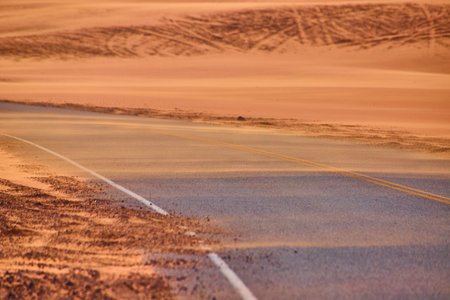 Desert Road Winding Through Sand Dunes and Wilderness Low Roadside Perspectiveの写真素材