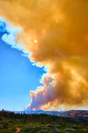 Wildfire Smoke Plume Rising Over Mountain Forest Under Sunlit Skyの写真素材