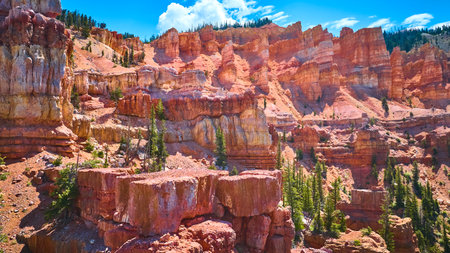 Dramatic Red Rock Cliffs and Pine Trees Dixie National Forest Utahの写真素材