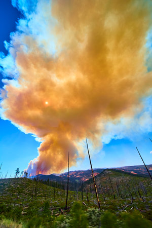 Wildfire Smoke Plume Over Canyon Burn Scar and Sun in Dramatic Forest Landscapeの写真素材