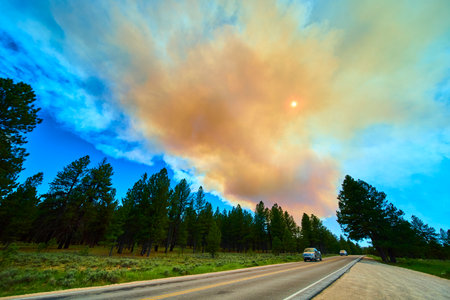 Forest Fire Smoke Plume Over Scenic Road and Pine Trees with Sun in Rural Utahの写真素材