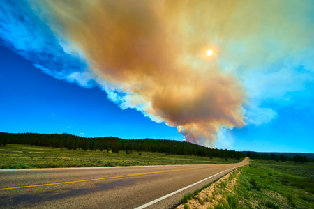 Smoke Plume and Sun Over Pine Forest and Scenic Drive During Wildfire Eventの写真素材