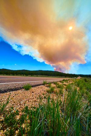 Wildfire Smoke Rising Over Forest Roadside With Sun And Blue Skyの写真素材