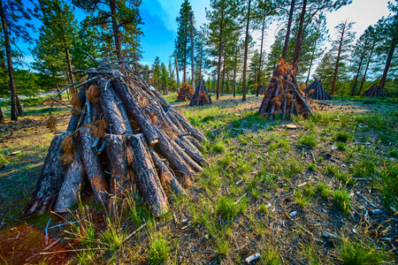 Burning Piles in Forest for Wildfire Prevention in Bryce Canyon National Park Utahの写真素材